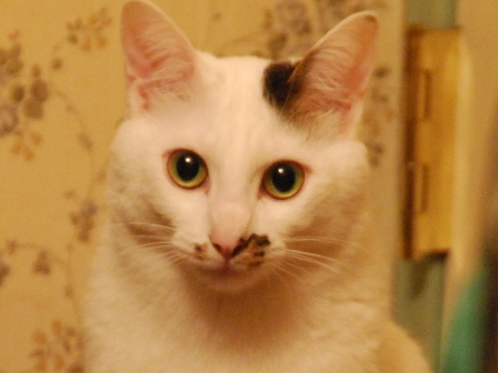 d0041268_2145816.jpg