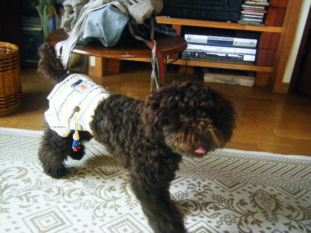 f0207970_8365842.jpg