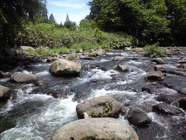 a0093677_13333676.jpg