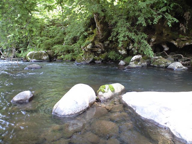 a0093677_1341317.jpg