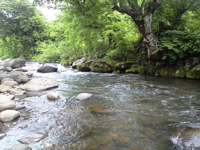 a0093677_14171926.jpg