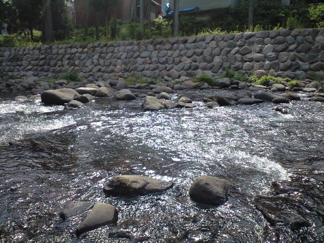 a0093677_14292625.jpg
