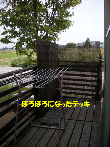 e0066883_205595.gif