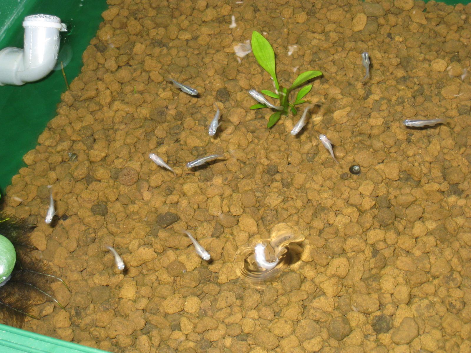 e0176785_20122057.jpg