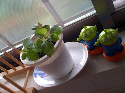 d0044986_23364372.jpg