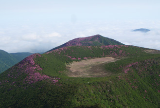 c0018489_23211161.jpg