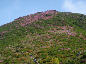 c0018489_2326482.jpg