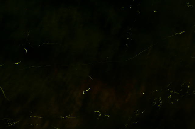 c0129389_2246451.jpg