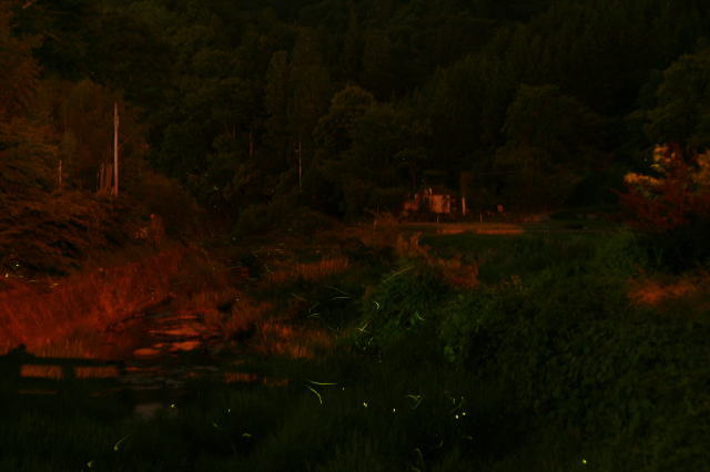 c0129389_2247154.jpg