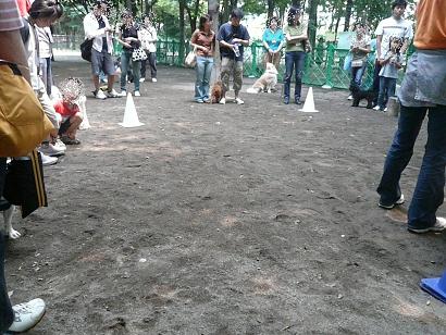 c0123890_19372758.jpg