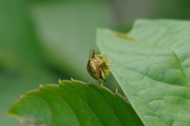 e0070891_2002968.jpg
