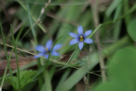 d0133693_20533541.jpg