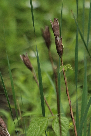 d0133693_20541483.jpg