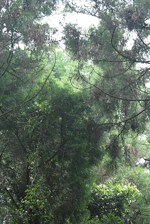 d0133693_20543348.jpg