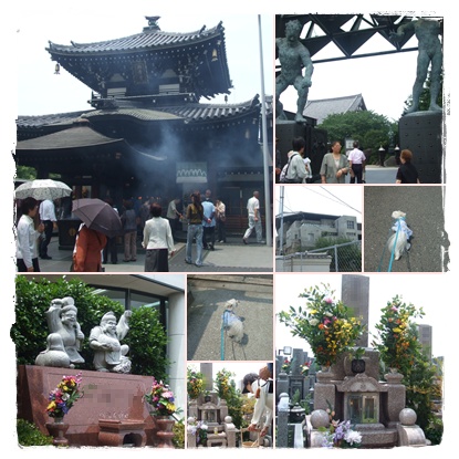 f0148595_21302494.jpg