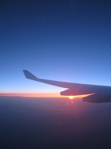 f0129897_7314775.jpg