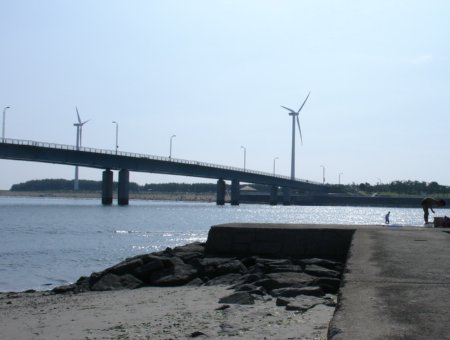 a0031000_0352653.jpg