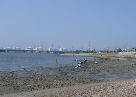 a0031000_0354150.jpg