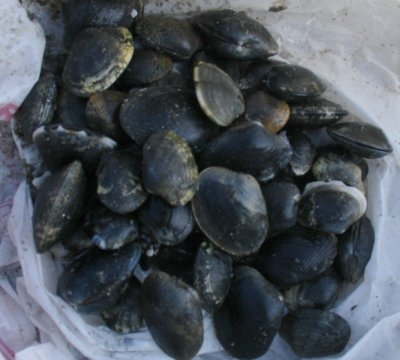 a0031000_0355473.jpg