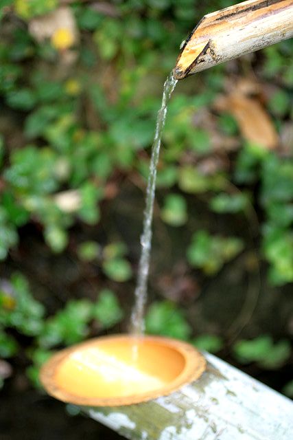 f0083400_20412010.jpg