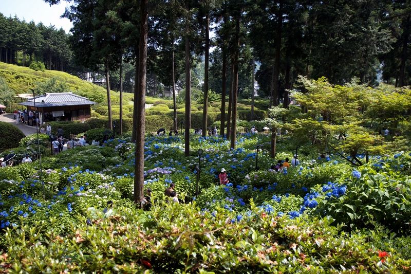 c0043403_2210194.jpg