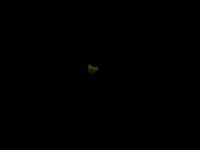 e0176103_14525675.jpg