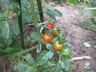 c0076204_10511722.jpg