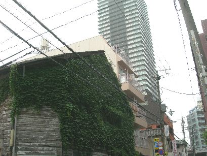 c0149408_1631953.jpg