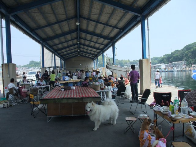b0073110_1531832.jpg
