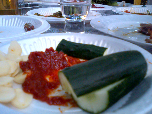 a0101715_2372331.jpg