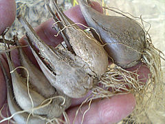 a0118120_18174559.jpg