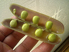 a0118120_18204475.jpg