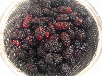 a0111621_213039100.jpg