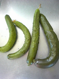 d0017924_9493640.jpg