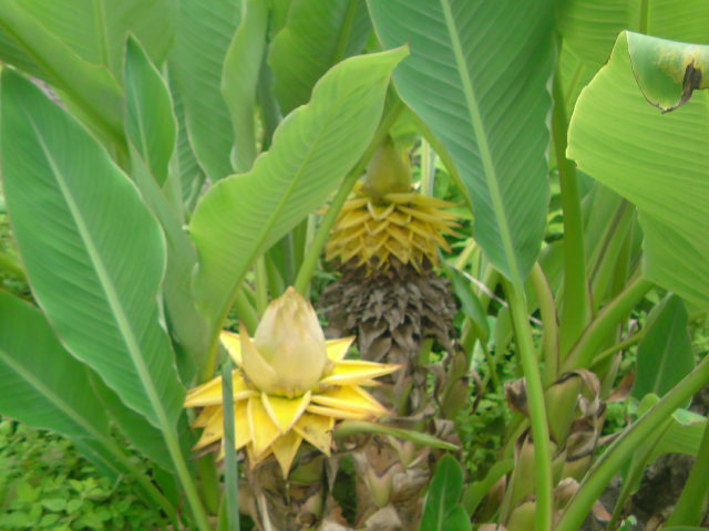 e0016828_1233372.jpg