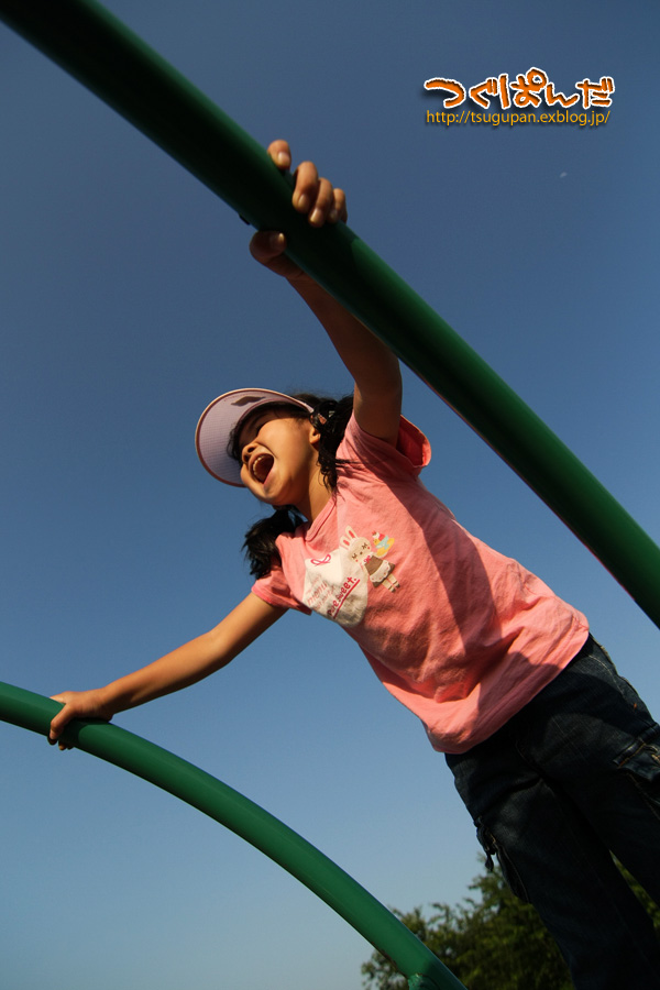 f0153628_017423.jpg