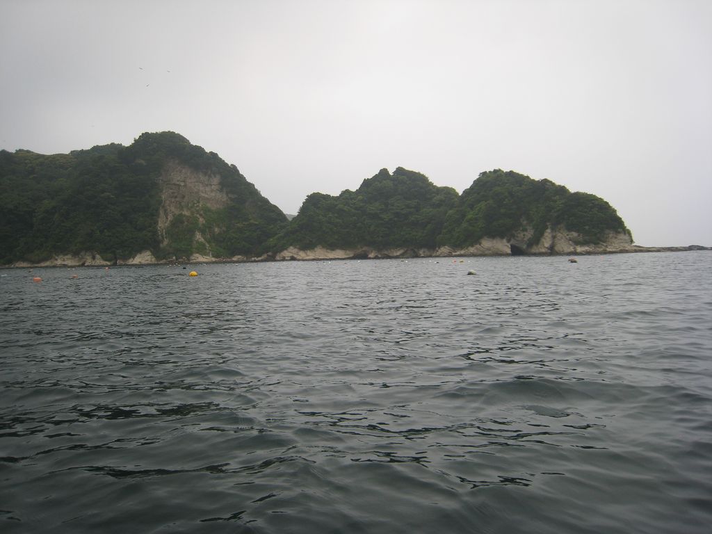b0173629_17255959.jpg