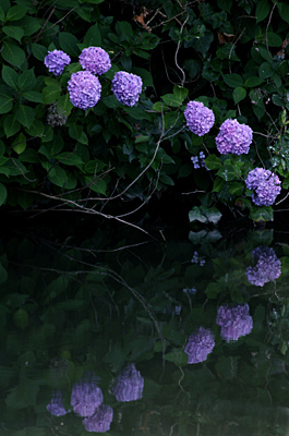 a0024490_13591192.jpg