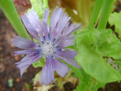 f0002833_2272046.jpg