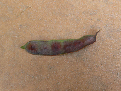 f0061334_21404469.jpg