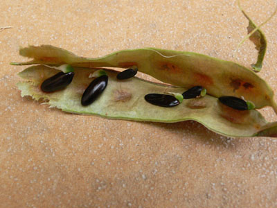 f0061334_21405089.jpg