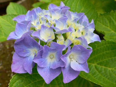 f0061334_2147234.jpg
