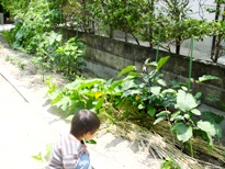 e0127935_22562630.jpg
