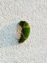 e0127935_234091.jpg