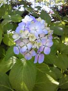 b0187042_10283721.jpg