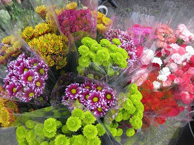 f0194450_328411.jpg
