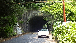 f0000652_0525374.jpg