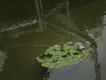 f0009457_22525553.jpg