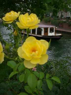 f0194457_8502165.jpg