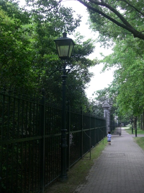 f0194457_8581554.jpg